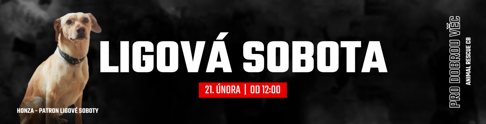 Aktuální fotka k úvodní informaci