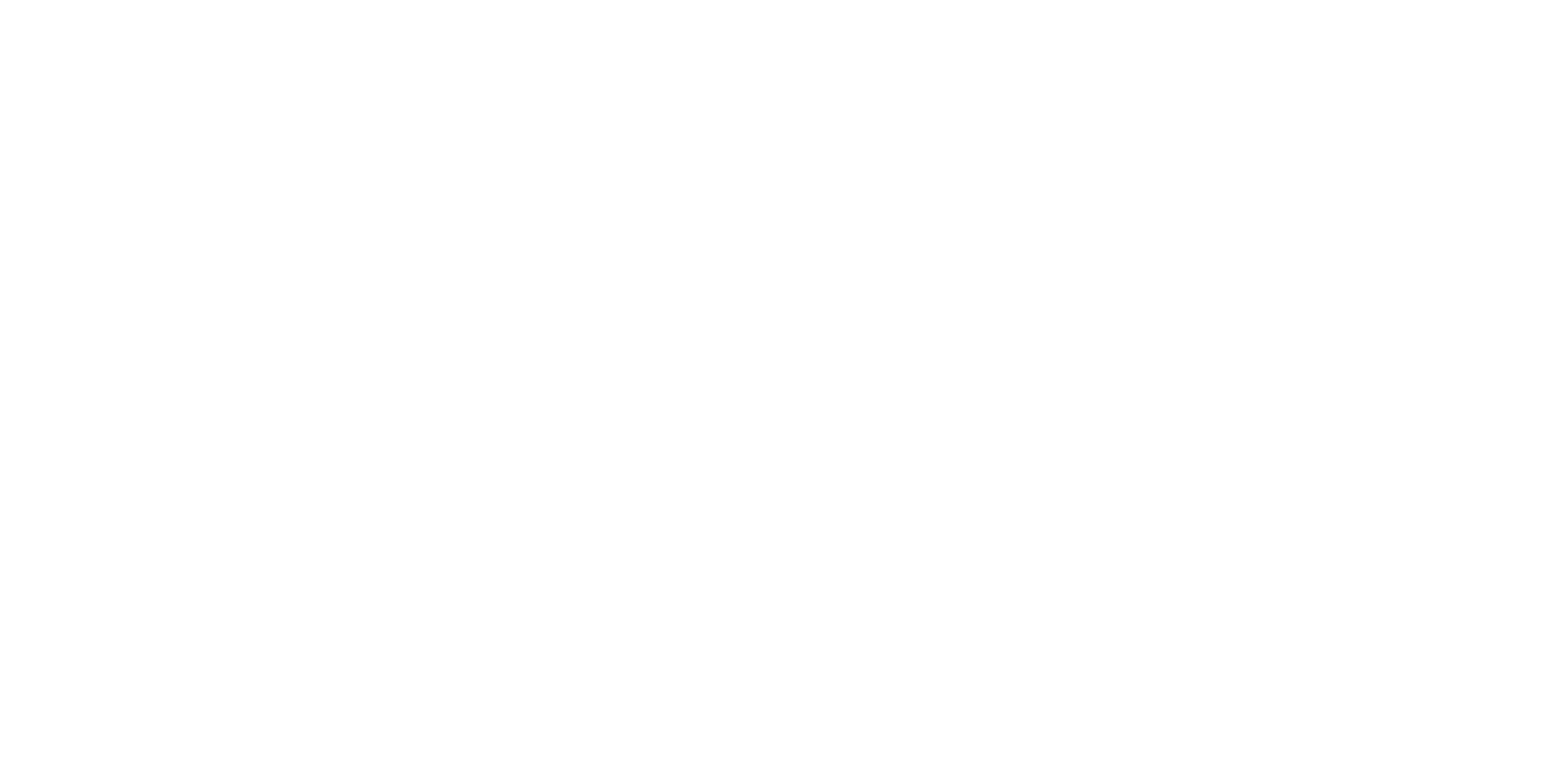 Horizontální logo – bílé